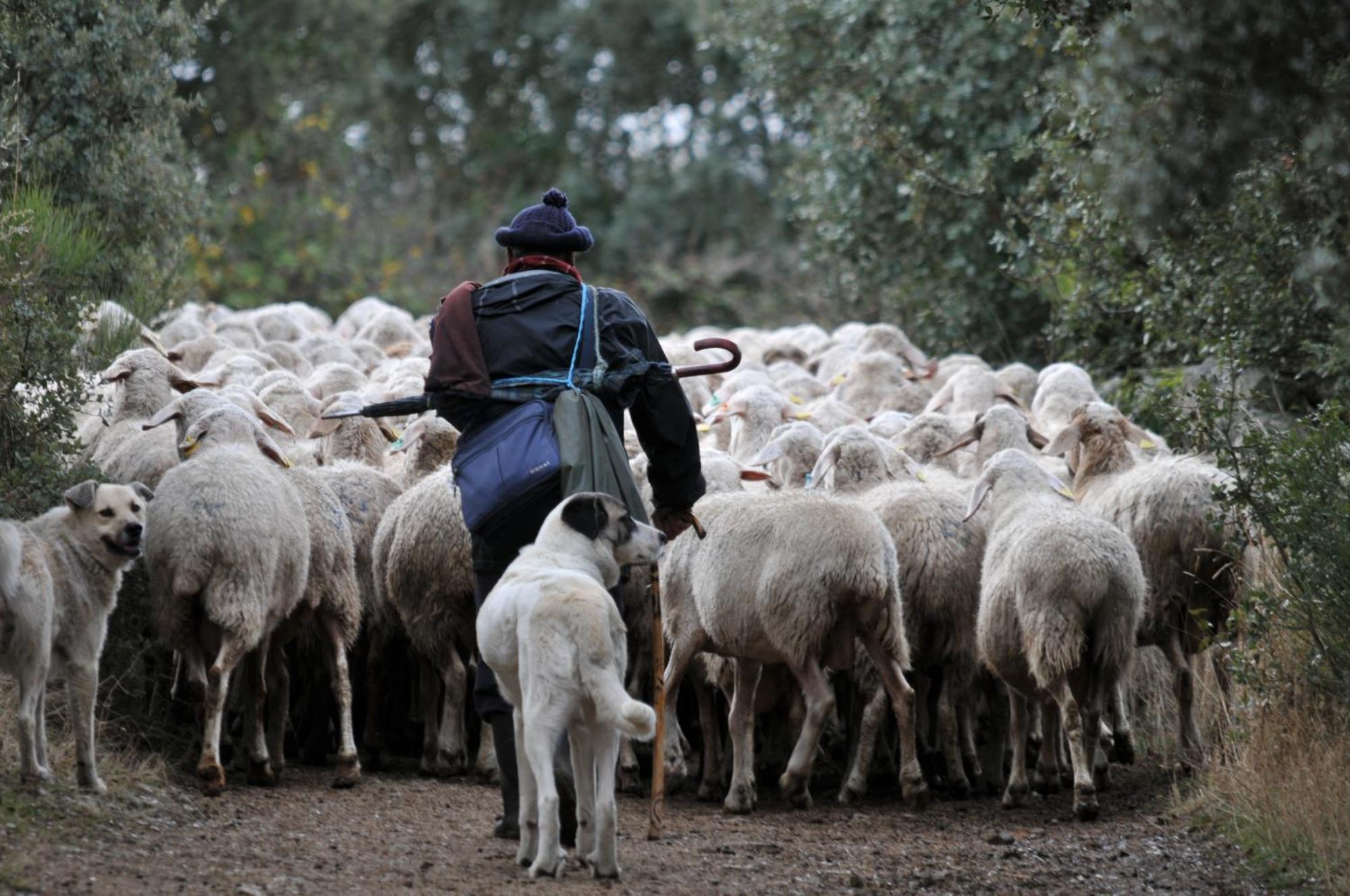 Villardiegua de la Ribera Posada Real La Mula De Los Arribes מראה חיצוני תמונה